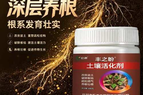 土壤调理剂与土壤活化剂 通用型多功能肥料的科学使用指南